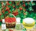 TINCTURA PADUCEL 50ml ADSERV