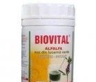 SUC DIN LUCERNA VERDE ALFA ALFA 100gr BIOVITAL
