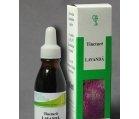 TINCTURA LAVANDA 50ml HOFIGAL