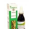 TINCTURA MESTEACAN 50ml HOFIGAL