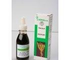 TINCTURA ROZMARIN 50ml HOFIGAL