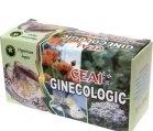 CEAI GINECOLOGIC 20dz HYPERICUM