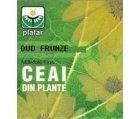 CEAI DUD FRUNZE 50gr PLAFAR