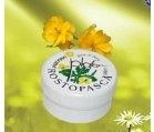 UNGUENT ROSTOPASCA 20gr PLAFAR IMPEX