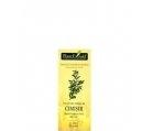 BUXUS SEMPERVIRENS 50ML PLANTMED