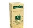 CASTANEA VESCA (CASTAN COMESTIBIL) 50ml PLANTMED