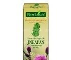 PINUS MONTANA (JNEAPAN) 50ml PLANTMED