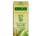 SALIX ALBA (SCOARTA SALCIE) 50ml PLANTMED
