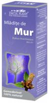 MUR MLADITE 50ml DACIA PLANT