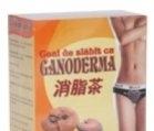 CEAI SLABIT CU GANODERMA 20dz AMEDSSON - Produse naturiste
