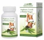 ANGHINARE, LEURDA SI RIDICHE NEAGRA 60cpr DACIA PLANT - Produse naturiste