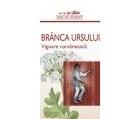 BRANCA URSULUI 60cps DACIA PLANT - Produse naturiste
