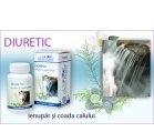 DIURETIC 60cpr DACIA PLANT - Produse naturiste