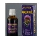 NORMOCOLESTEROL 50ml DACIA PLANT - Produse naturiste