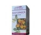 ROSTOPASCA 60cpr DACIA PLANT - Produse naturiste