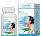 SALIX 500 60cpr DACIA PLANT - Produse naturiste