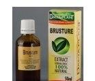 TINCTURA BRUSTURE 50ML DACIA PLANT - Produse naturiste