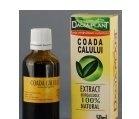 TINCTURA COADA CALULUI 50ml DACIA PLANT - Produse naturiste