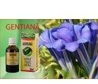 TINCTURA GENTIANA 50ml DACIA PLANT - Produse naturiste