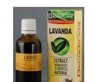 TINCTURA LAVANDA 50ml DACIA PLANT - Produse naturiste