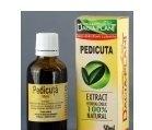 TINCTURA PEDICUTA 50ml DACIA PLANT - Produse naturiste
