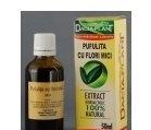TINCTURA PUFULITA 50ML DACIA PLANT - Produse naturiste