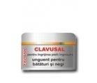 UNGUENT NEGI CLAVUSAL 10ml FAVISAN - Produse naturiste