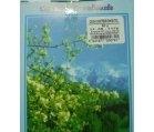 CEAI ANTIBRONSITIC 60gr FITOTERAPIA - Produse naturiste