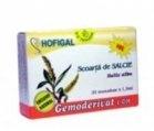 SCOARTA SALCIE 30 monodz HOFIGAL - Produse naturiste