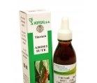 TINCTURA ARDEI IUTE 50ml HOFIGAL - Produse naturiste