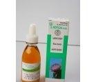 TINCTURA ARMURARIU 50ml HOFIGAL - Produse naturiste
