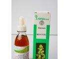 TINCTURA BRUSTURE 50ml HOFIGAL - Produse naturiste