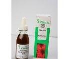 TINCTURA ECHINACEEA 50ml HOFIGAL - Produse naturiste