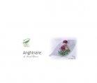 ANGHINARE 30cps blister MEDICA - Produse naturiste