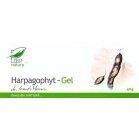GEL HARPAGOPHYT 40gr MEDICA - Produse naturiste
