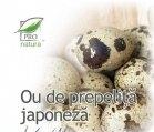 OU PREPELITA JAPONEZA 30cps BLISTER MEDICA - Produse naturiste