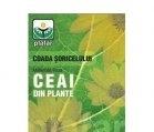 CEAI COADA SORICELULUI IARBA 50gr PLAFAR - Produse naturiste