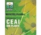 CEAI MUSETEL 20dz PLAFAR - Produse naturiste