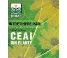 CEAI TONIC CAPILAR (fost Intretinere par) 80gr PLAFAR - Produse naturiste