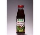 SIROP ARMONIA FRUCTELOR 500ml PLAFAR - Produse naturiste