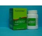 GASTROVIT 40tb PLANTAVOREL - Produse naturiste