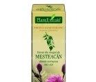 BETULA VERRUCOSA (MEST MUGURI) 50ml PLANTMED - Produse naturiste