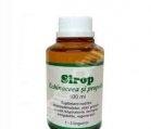 SIROP ECHINACEEA+PROPOLIS 100ml PONTICA - Produse naturiste