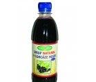 SIROP COACAZ NEGRU 500ml SANTO RAPHAEL - Produse naturiste