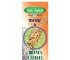 TINCTURA BRANCA URSULUI 50ml SANTO RAPHAEL - Produse naturiste