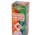 TINCTURA MERIDIAN INTESTIN SUBTIRE 100ml SANTO RAPHAEL - Produse naturiste