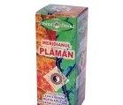 TINCTURA MERIDIAN PLAMAN 100ml SANTO RAPHAEL - Produse naturiste