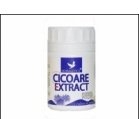 Produse naturiste HERBAGETICA SRL - CICOARE EXTRACT 80cps HERBAGETICA