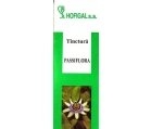 Produse naturiste Hofigal - TINCTURA PASSIFLORA 50ml HOFIGAL