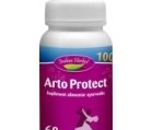 Produse naturiste INDIAN HERBAL - ARTO PROTECT 60cps INDIAN HERBAL